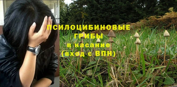 ПСИЛОЦИБИНОВЫЕ ГРИБЫ Пролетарск